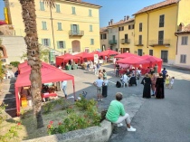 Vendemmia in Arte nel borgo di Rosignano Monferrato